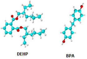 DEHP and BPA